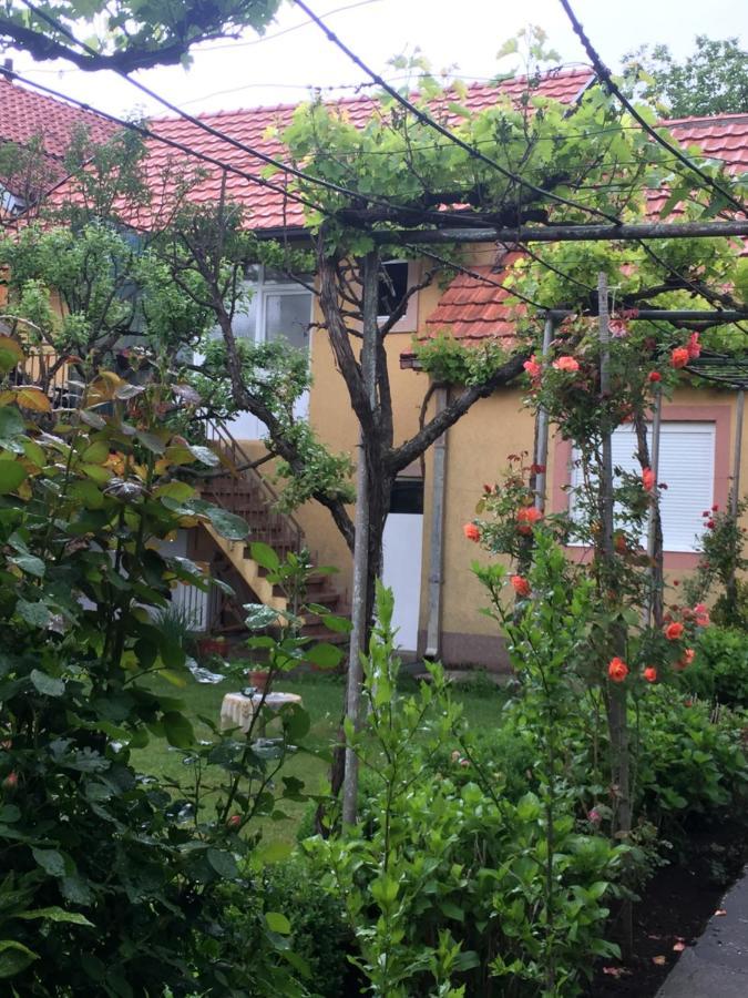 Apartman Lili Cetinje Eksteriør billede